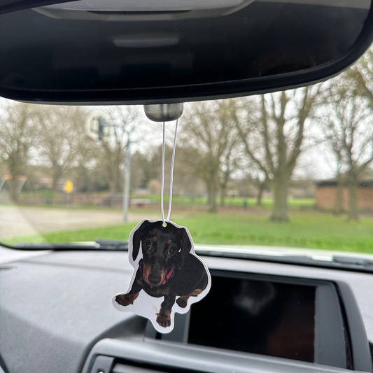 Personalised Pet Cut-Out Car Air Freshener